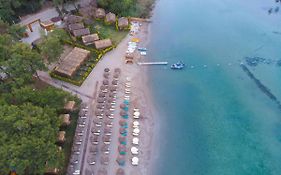 Green Pine Bungalows & Beach Luxury Concept